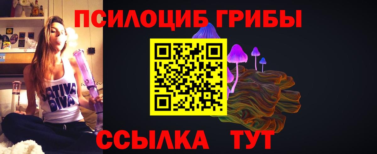 Пенза  Псилоцибиновые грибы мицелий  Галлюциногенные грибы Magic Shrooms  Вход с VPN 