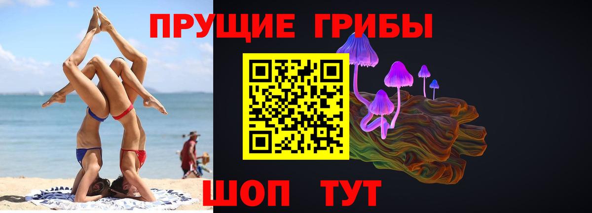 Галлюциногенные грибы Psilocybine cubensis Пенза